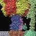 ATP Synthase Structure And Function