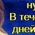Алло мам мне деньги срочно нужны Много В течение двух дней Прохрипел в трубку голос ее дочери