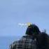 Maheru Hindi Song Lyrics Asethetic Lofi Song WhatsApp Status Shorts Trending Viral Song