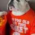 Other Dogs Vs My Pets Dog Puppy Animals Pets Cat Funny Fun Doglover