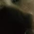 Pete Yorn Scarlett Johansson Bad Dreams
