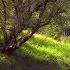The Sava Floodplains Croatia S Secret Paradise Full Documentary