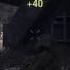 VASIVE 8