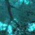 Craig Armstrong Escape MT EDEN Remix
