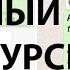 Как в Whatsapp общаться форматированным текстом