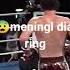 Detik Detik Petarung MMA Meninggal Di Atas Ring