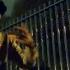 AJ Tracey Trapsuit Music Video AJFromTheLane