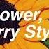 Sunflower Vol 6 Harry Styles Lyrics