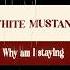 Lana Del Rey White Mustang Why Am I Staying Lyrics Lanadelreylyrics Sad Shorts Lanadelrey
