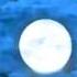 Waterbone August Moon