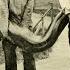 5 Giant Snakes And The Evolution Of Super Sized Serpents