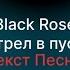 Black Rose Выстрел в пустоту Текст песни