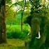 Elephant Attack In Kabini Elephantattack Kabini Wildlife Ytshorts Viralvideo