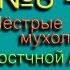 Мухоловка Пестрые мухоловки Южной и Восточной Азии Голоса птиц