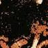 Survivor Eye Of The Tiger Guitar Backing Track