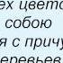 Слова песни Олег Митяев Письмо из Африки