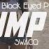 The Black Eyed Peas Pump It SWACQ Remix