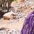 Fatima S Pain Distance And Betrayal Highlights The Emotional Core And Potential Conflict