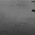 King Creosote And Jon Hopkins Your Young Voice Wmv