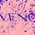 Fullempty Veno