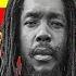 Best Of PETER TOSH Mix 2022