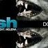 ARASH Feat Helena Dooset Daram