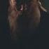 Amon Amarth The Way Of Vikings