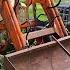 Will This ABANDONED Tractor RUN PLANT 5 Acres