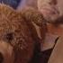One Direction Night Changes 2 Days To Go