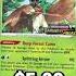 Top 10 Decidueye Cards