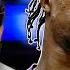 Miami Heat GAMBLE On Aging Stars Is DeMar DeRozan The ANSWER