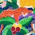 Carnival Of The Animals A Visual Journey Through Nature S Orchestra
