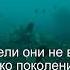 Коран Сура Ясин 36 31 Чтение Корана с русским переводом Quran Translation In Russian