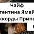 Shorts чайф аргентинаямайка аккорды нагитаре
