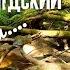 ЧЕРТОВ ОВРАГ И ЛЯДСКИЙ ТРЕУГОЛЬНИК ЖУТКОЕ МЕСТО ГДЕ ПРОПАДАЛИ ЛЮДИ