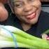 Keep GREEN ONIONS Fresh Longer Shorts