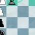 퀸트랩 Chess 체스 NTR