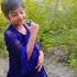 Dakatia Bashi Song Music