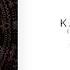 Jose Noventa Allen Hulsey Kanun Pasha Ali Farahani Remix