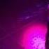 FREE LIL PEEP TYPE BEAT CONTRACT WITH SOLITUDE SAD GUITAR EMO TRAP RAP TYPE BEAT
