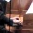 J S Bach Brandenburg Concerto N º 5 Allegro First Movement Daniel Oyarzabal