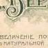 1911 год Фотоателье Верещагин Ретро Одесса