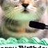 HAPPY BIRTHDAY TO YOU KAZIM HAPPY BIRTHDAY SONG WITH NAMES Adorable Cute Cat Happybirthday