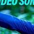 Aaradhike Video Song Soubin Shahir E4 Entertainment Johnpaul George