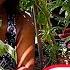 Turn Your BACKYARD Into A THRIVING FOOD FOREST Paradise Now