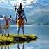 Shive Kailasho Ke Wasi Mahadev Rscreator Z9p