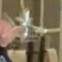 Does This Video Prove Elon Musk Was High In Front Of Trump