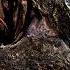 Godzilla Epic Monster Compilation ClipZone High Octane Hits