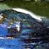 The Clam S Belly Is Bulging Like A Ball And There Are Countless Pearls