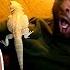 Ridiculousnessly Scary Moments Caught On Camera